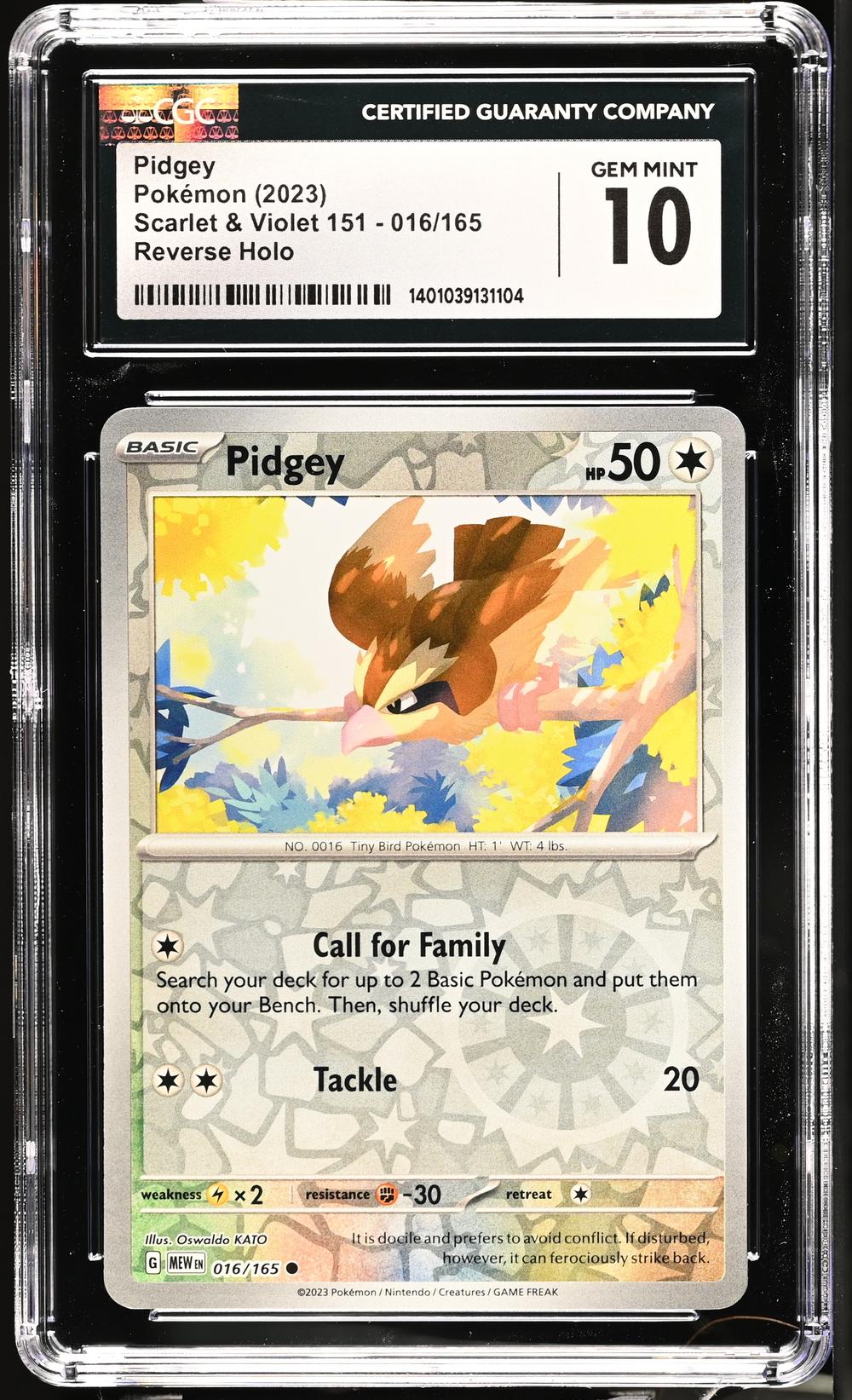 Pidgey