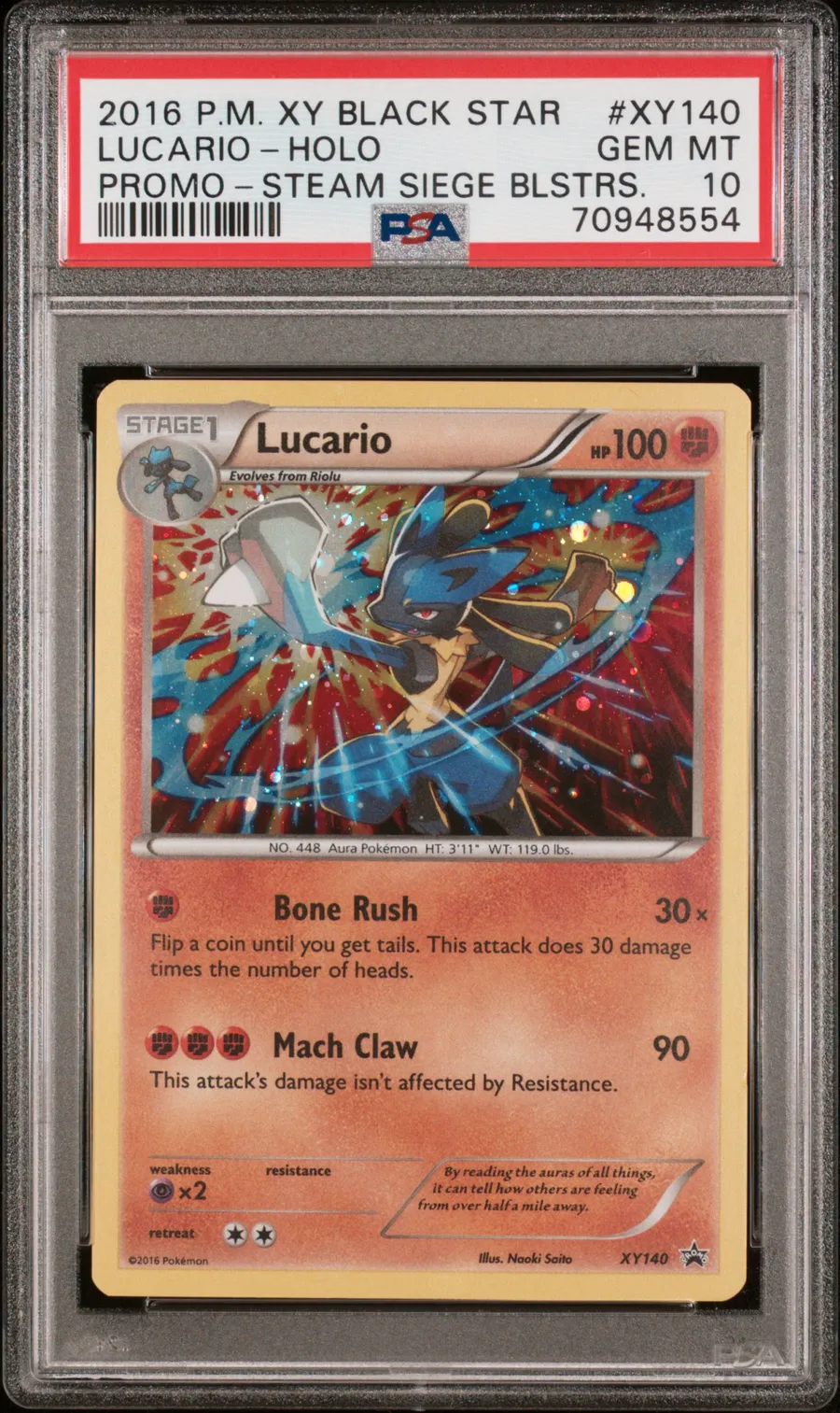 Lucario-