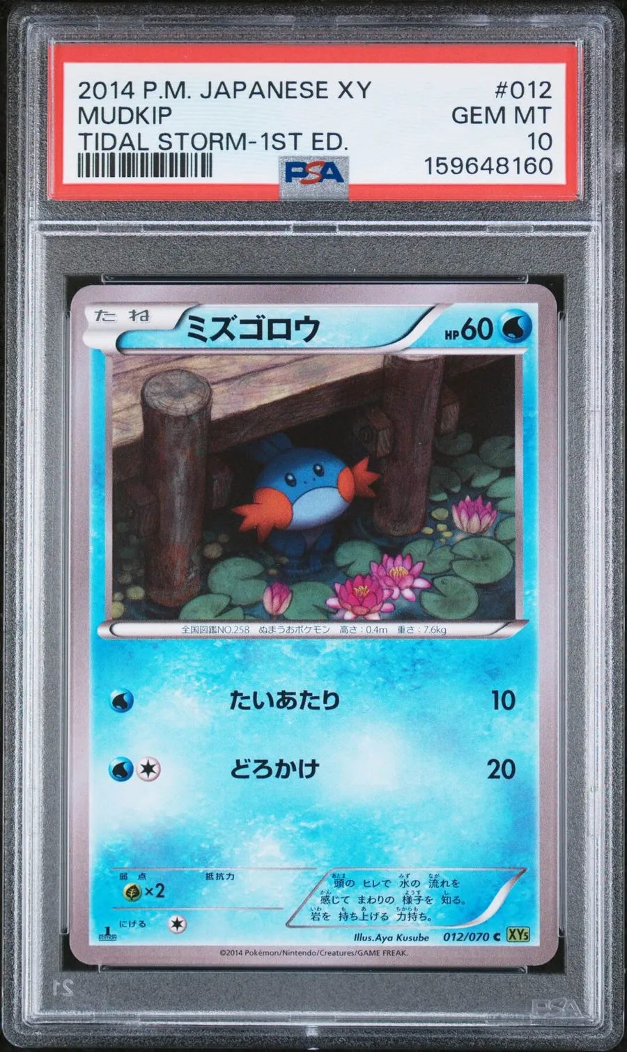 Mudkip Tidal Storm-1st Ed. #12