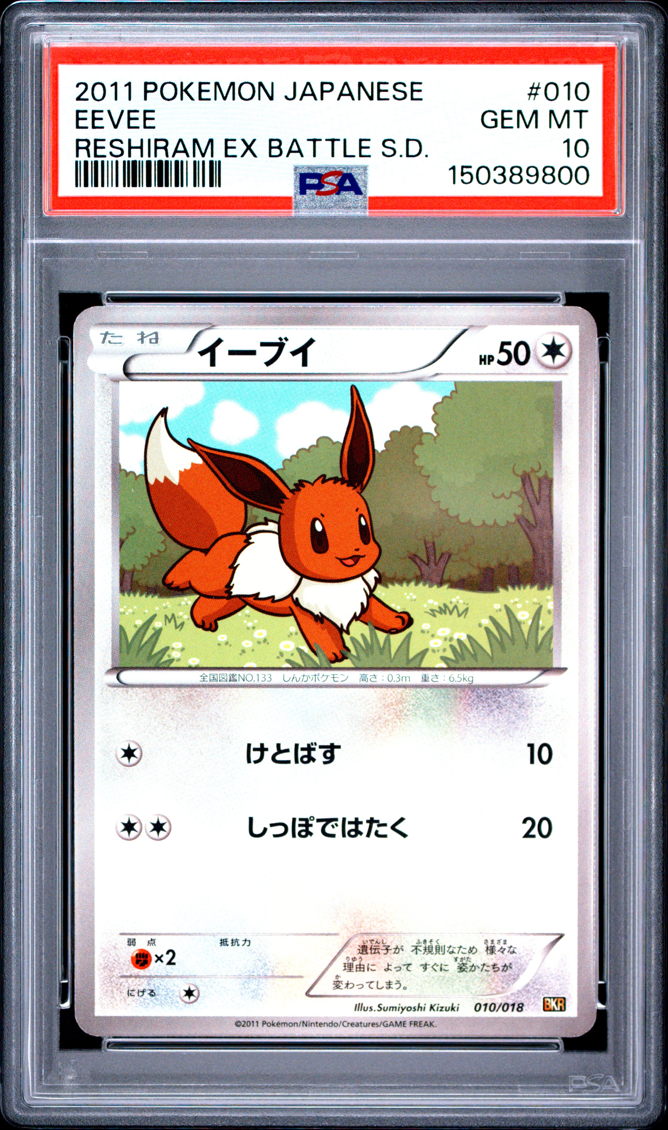 Eevee