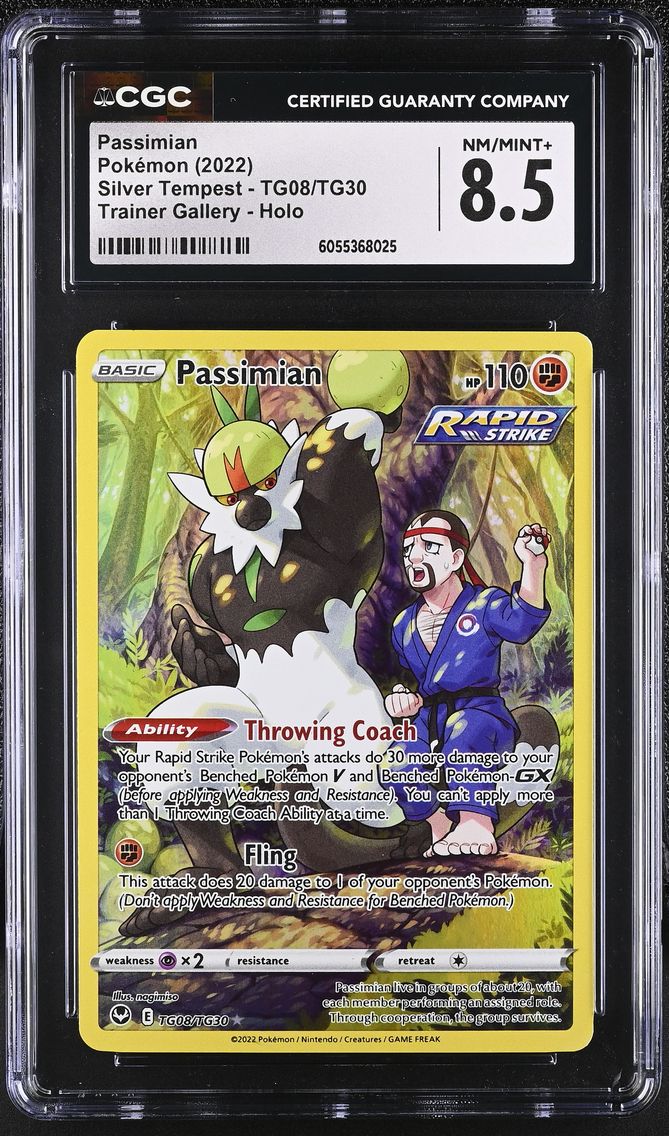 Passimian