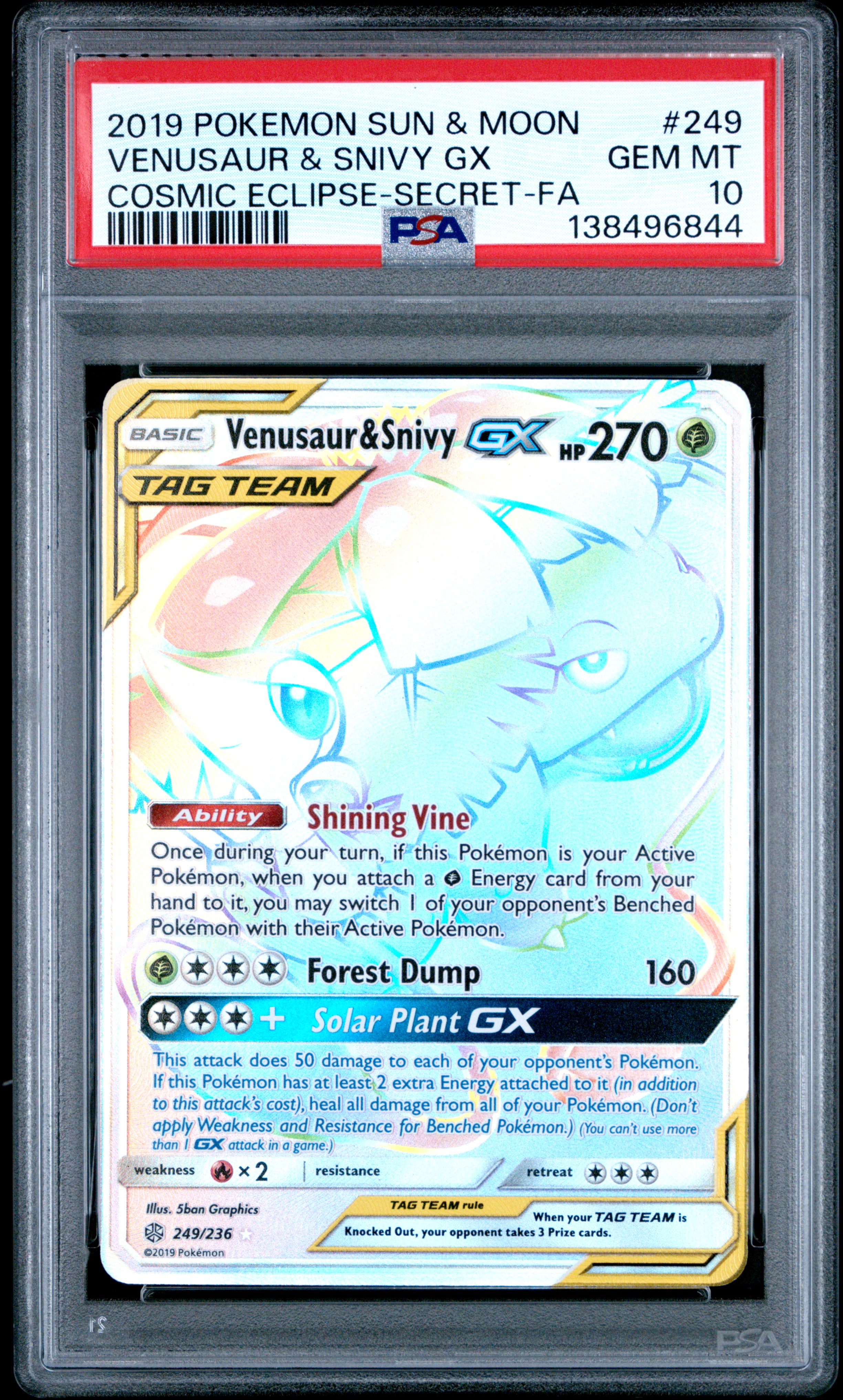 Venusaur & Snivy Gx