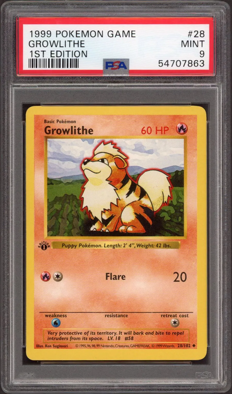 Growlithe #28