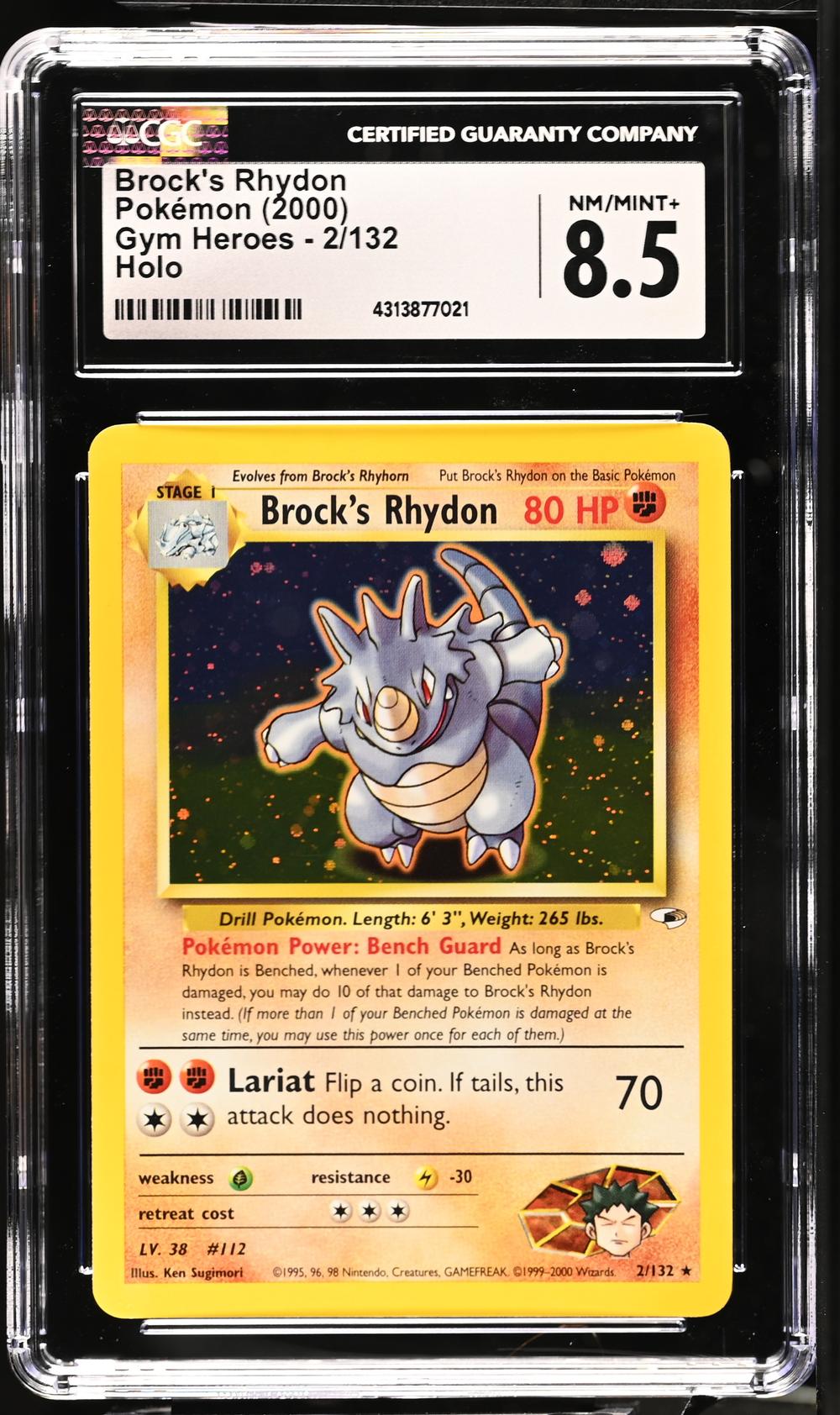 Brock's Rhydon