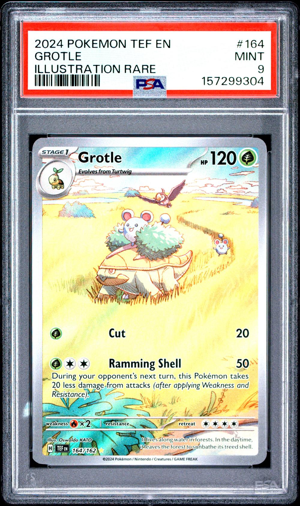 Grotle