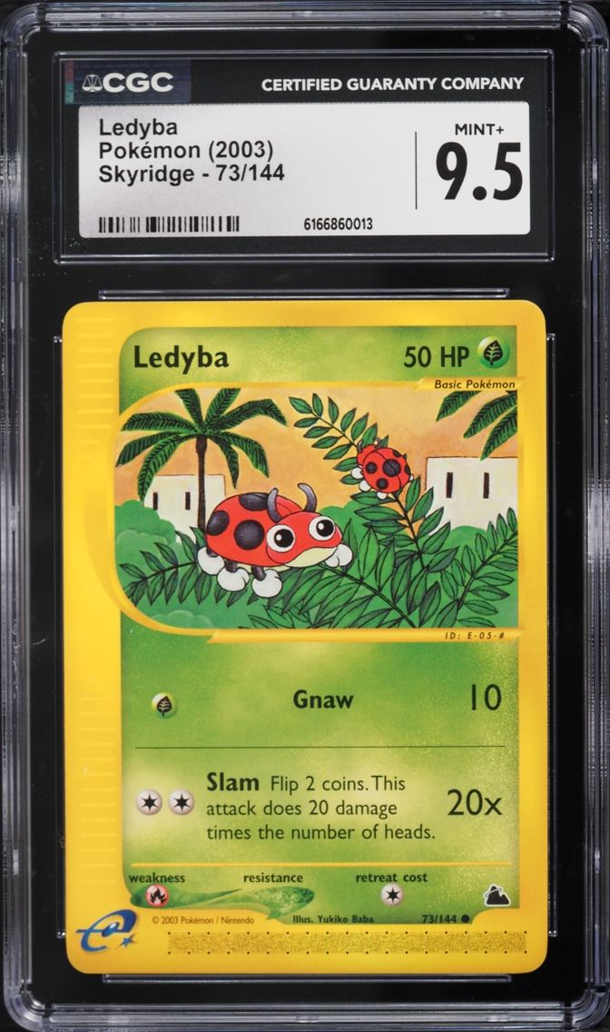 Ledyba