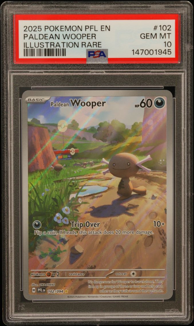 Paldean Wooper