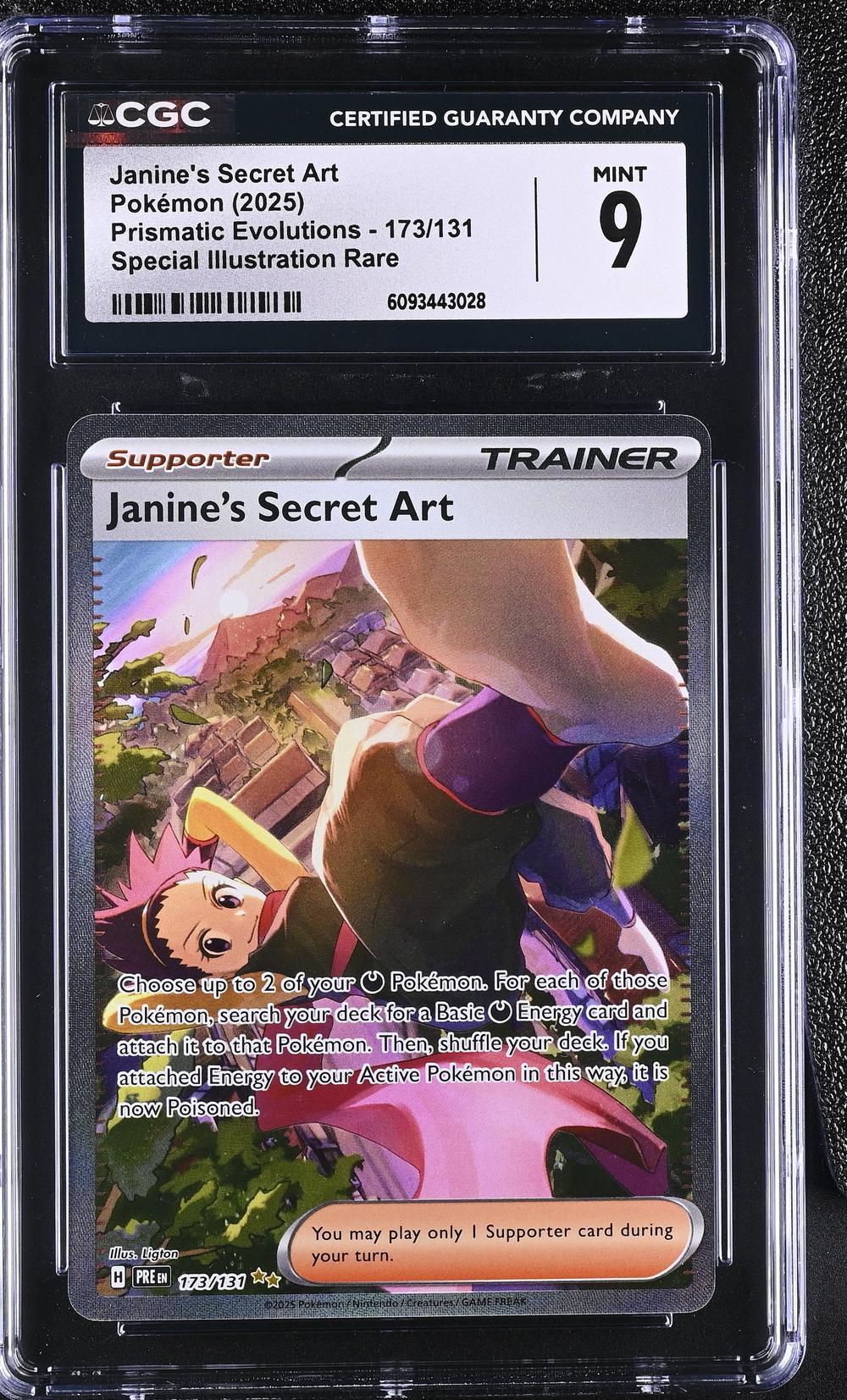 Janine's Secret Art
