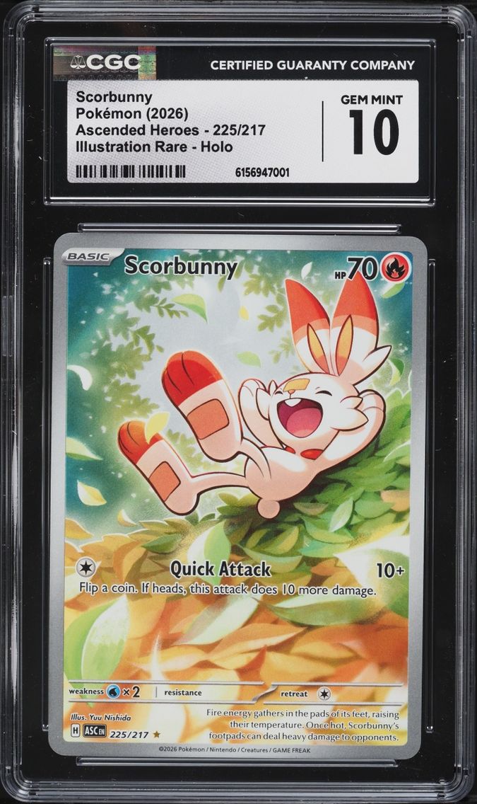Scorbunny