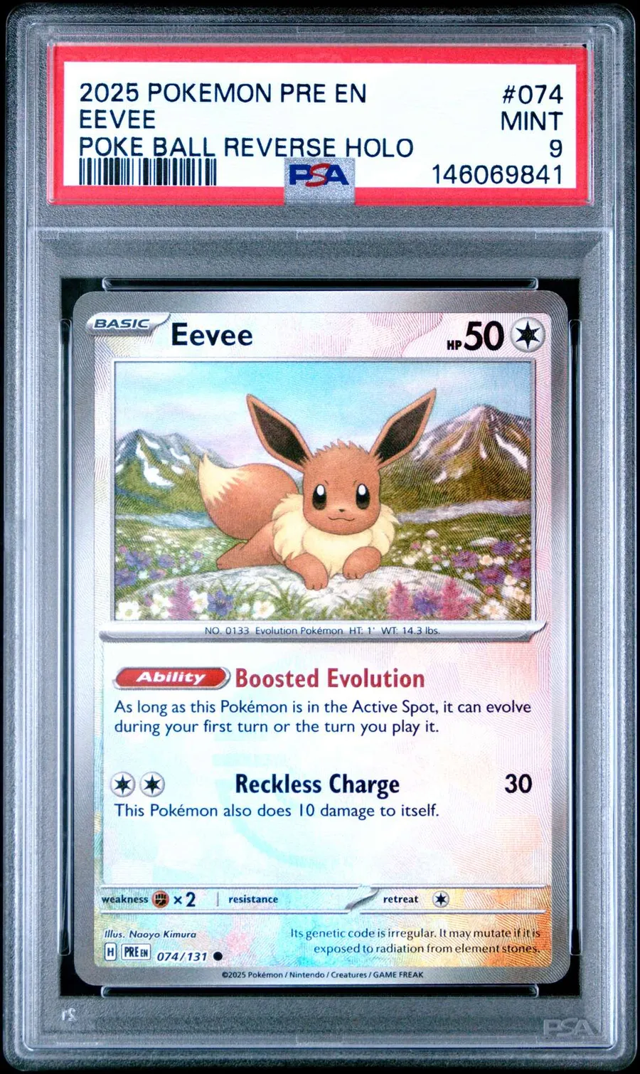 Eevee Poke Ball #74