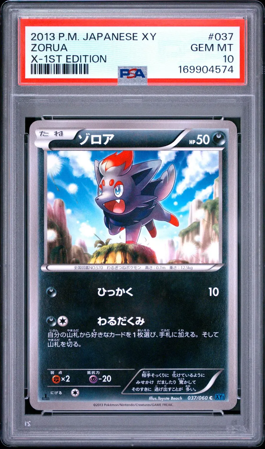 Zorua X- #37