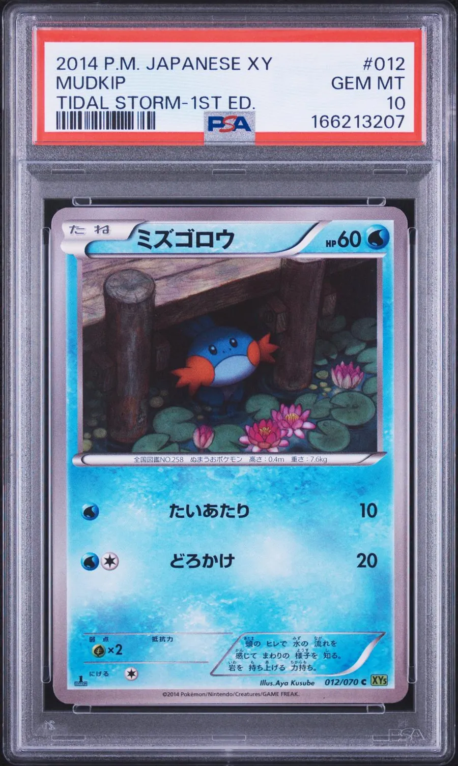 Mudkip Tidal Storm-1st Ed. #12