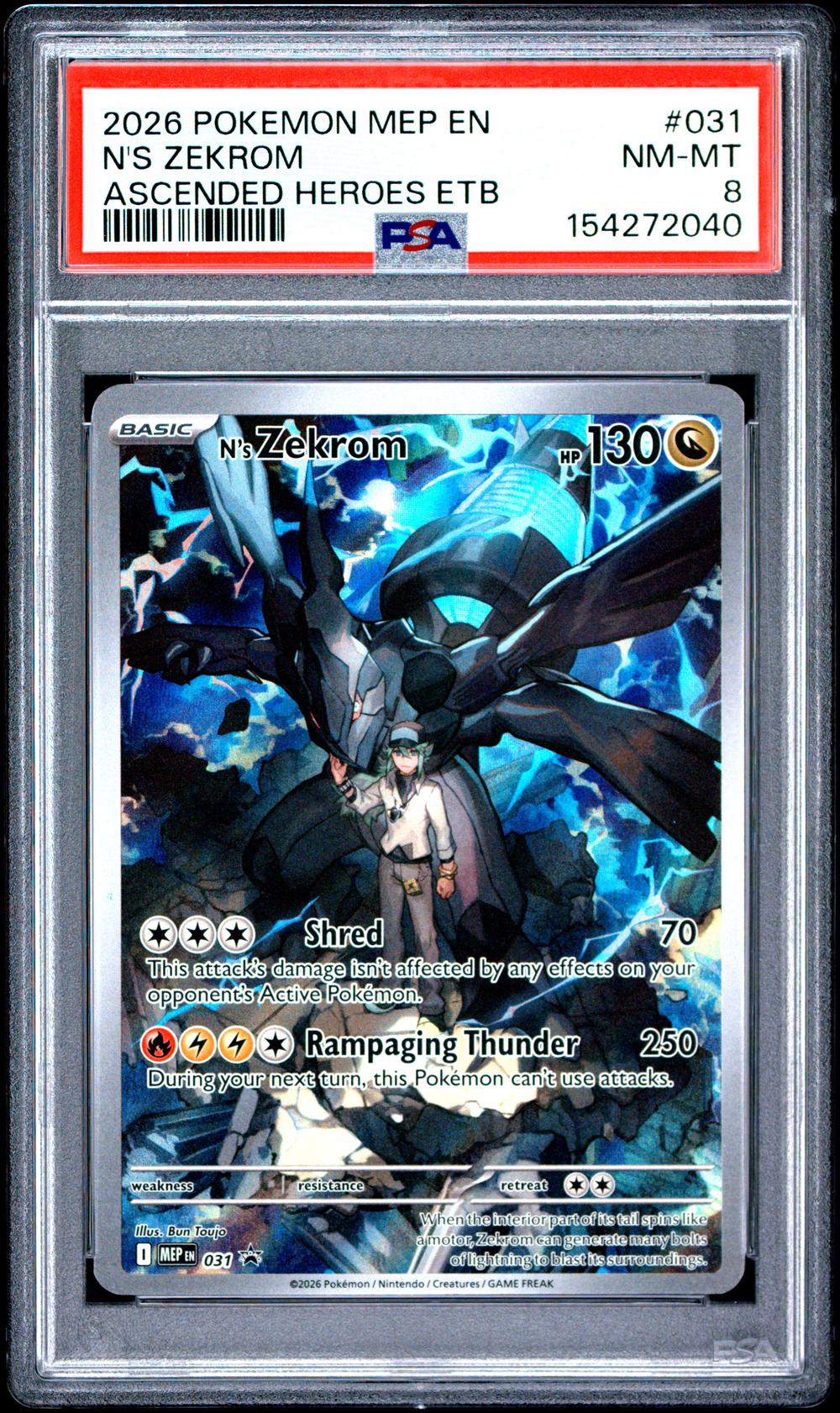 N's Zekrom